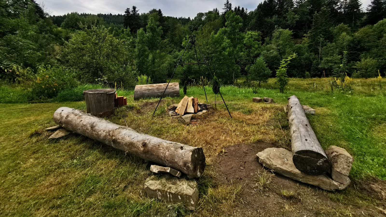 Miejsce na ognisko